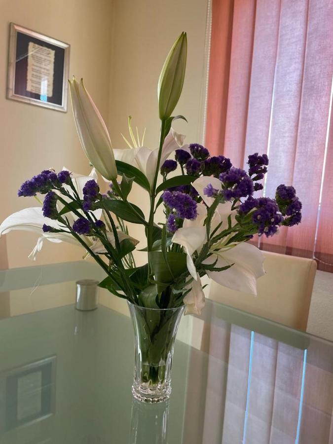 Apartment Edita Plano Trogir מראה חיצוני תמונה